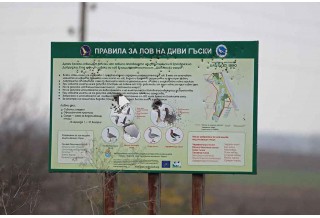 © Даниел Митев