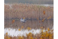 © Даниел Митев