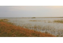 © Ники Петков